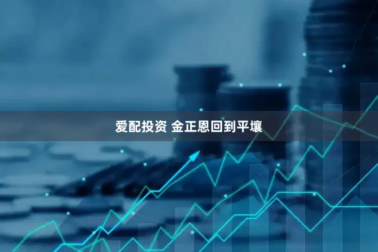 爱配投资 金正恩回到平壤